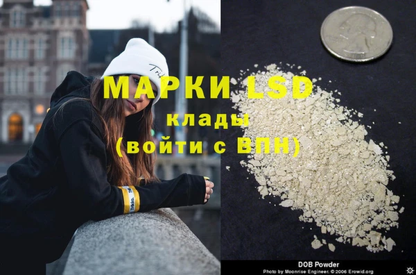 прущие грибы Богородицк