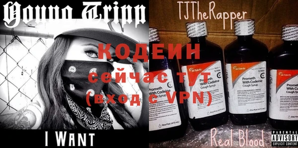 прущие грибы Богородицк