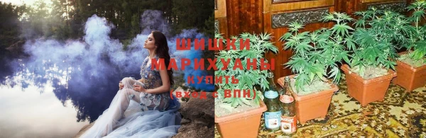 прущие грибы Богородицк