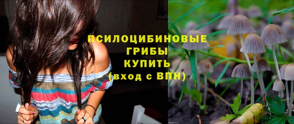 герыч Богородск